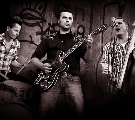 The Rocking Wild Boys